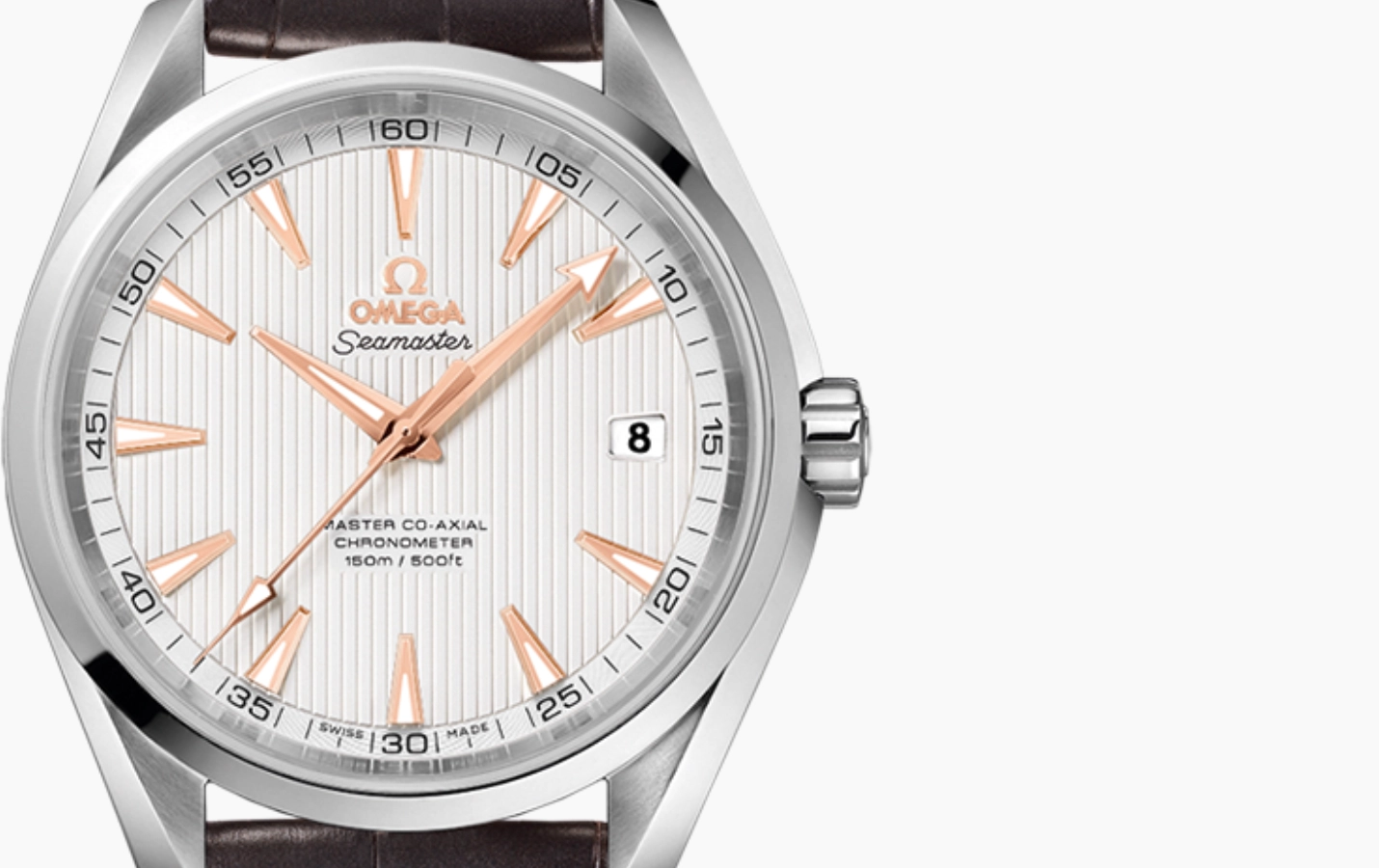 Omega Seamaster Aqua Terra 231.13.42.21.02.003 WatchProject 21 Shop